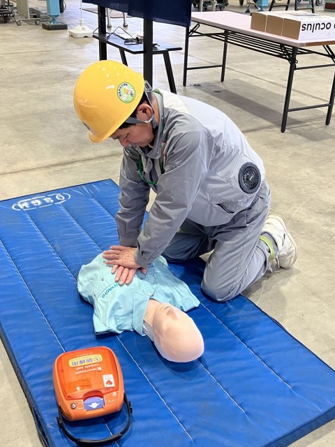 BLS�V�~�����[�^�[�ɂ��~���̊�